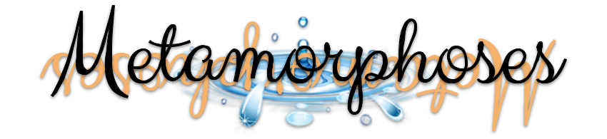 Metamorphoses Logo